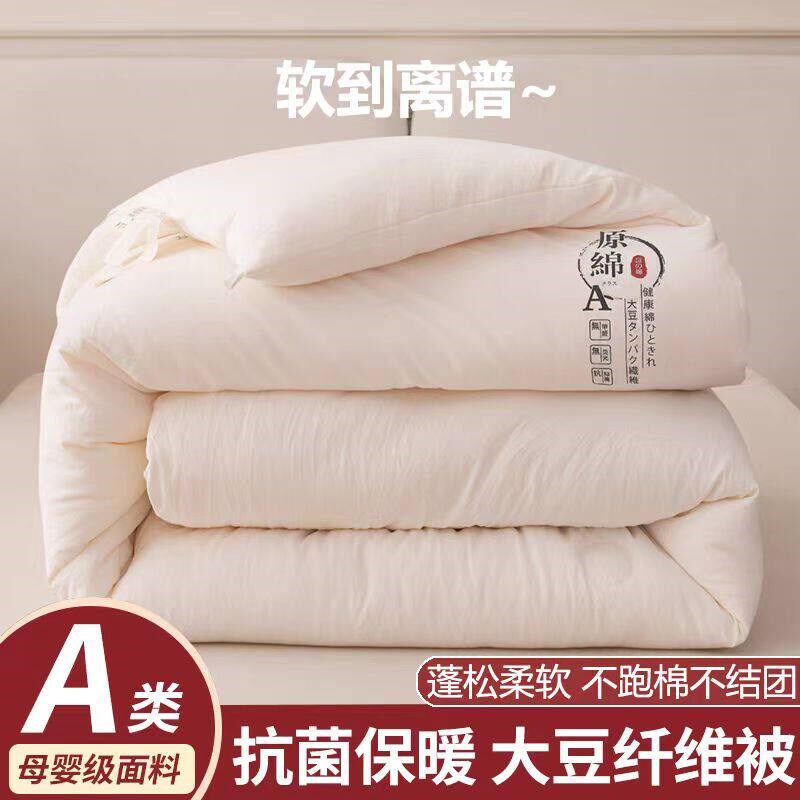 A类大豆纤维被子20o25新款冬季秋冬被加厚保暖纯棉空调被全棉被芯