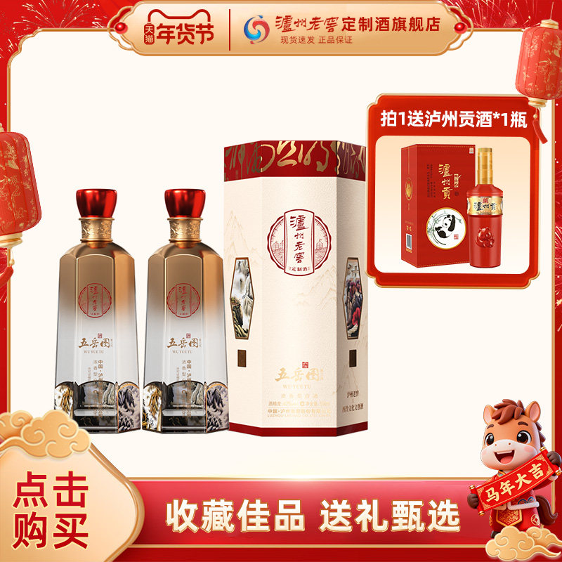 泸州老窖定制酒五岳图雅之风42度浓香型白酒500ml*2瓶送礼