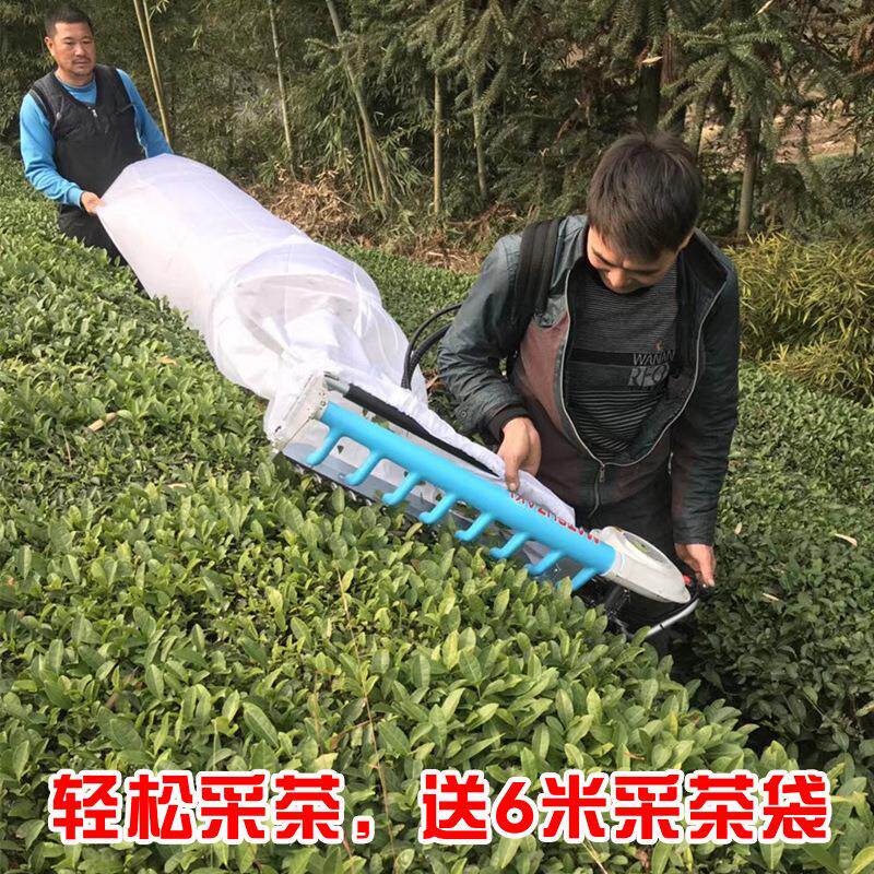 单双人采茶机汽油便携往复式吹风绿篱机采茶神器修剪茶叶绿篱