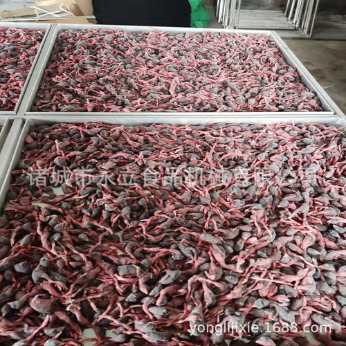 宠物零食真空冻干机全自动鸡胸肉低温冷冻干燥设备鹌鹑玫瑰花冻干