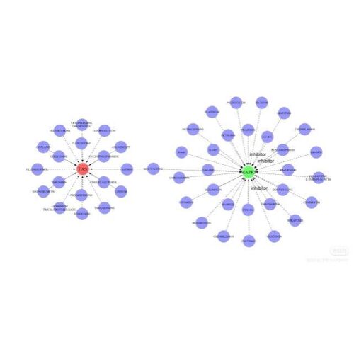 遗传学Chlp-seq1对1辅导零基础到精通生信分析