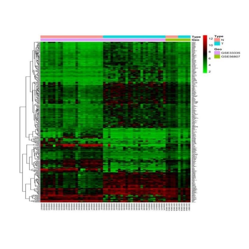GEO数据库 生物信息学 多芯片联合分析 GEO2R 蛋白互作网络