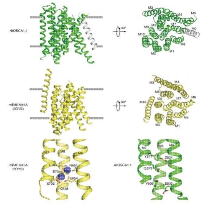 分子动力学模拟 分子对接 虚拟筛选 MD计算 代算 代做 同源建模