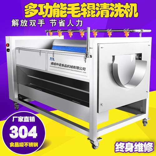 不锈钢圆根萝卜清洗机 滚刷式水果打蜡设备 大型万岁子清洗机现货