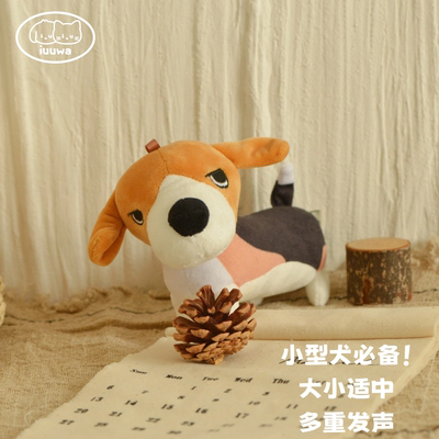 iuuwa/爱友友哇 werwer怪比格狗狗响纸发声玩具耐咬互动小型犬专
