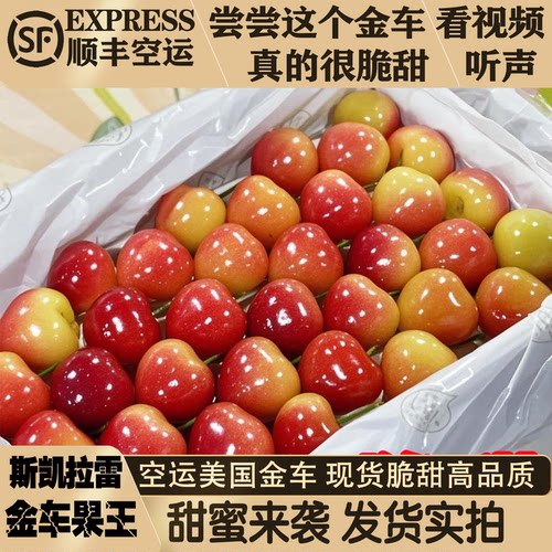 美国斯凯拉雷金车黄车厘子