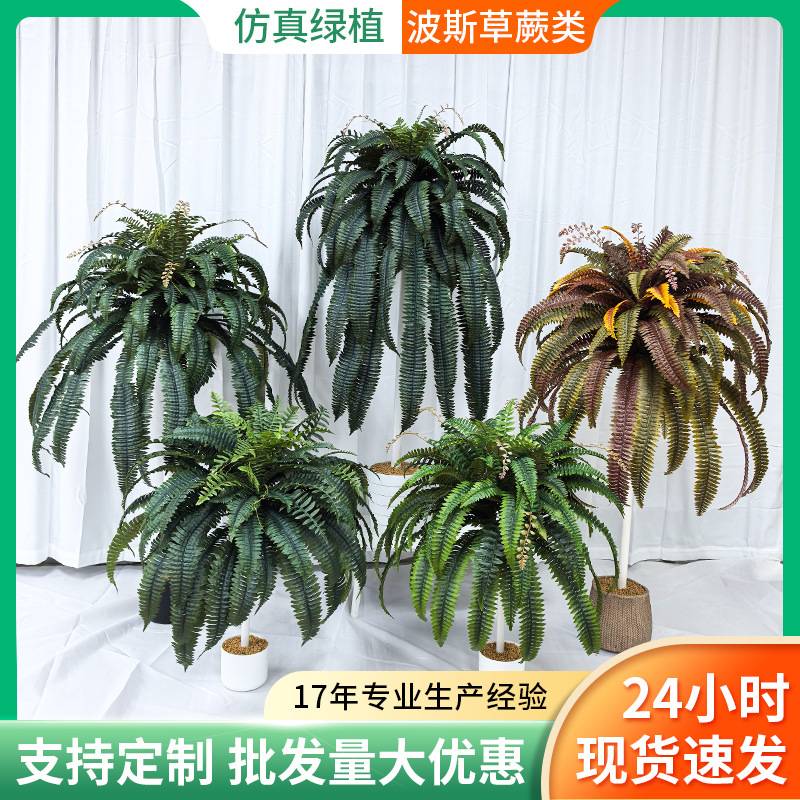 仿真绿植盆栽蕨类橱窗装饰造景仿真植物假绿植尖尾波斯草装饰摆件