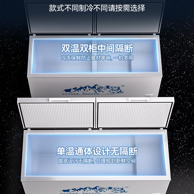 卧式商用大容量冰柜家用单温双温两用冷柜冷藏保鲜冷冻柜节能雪柜