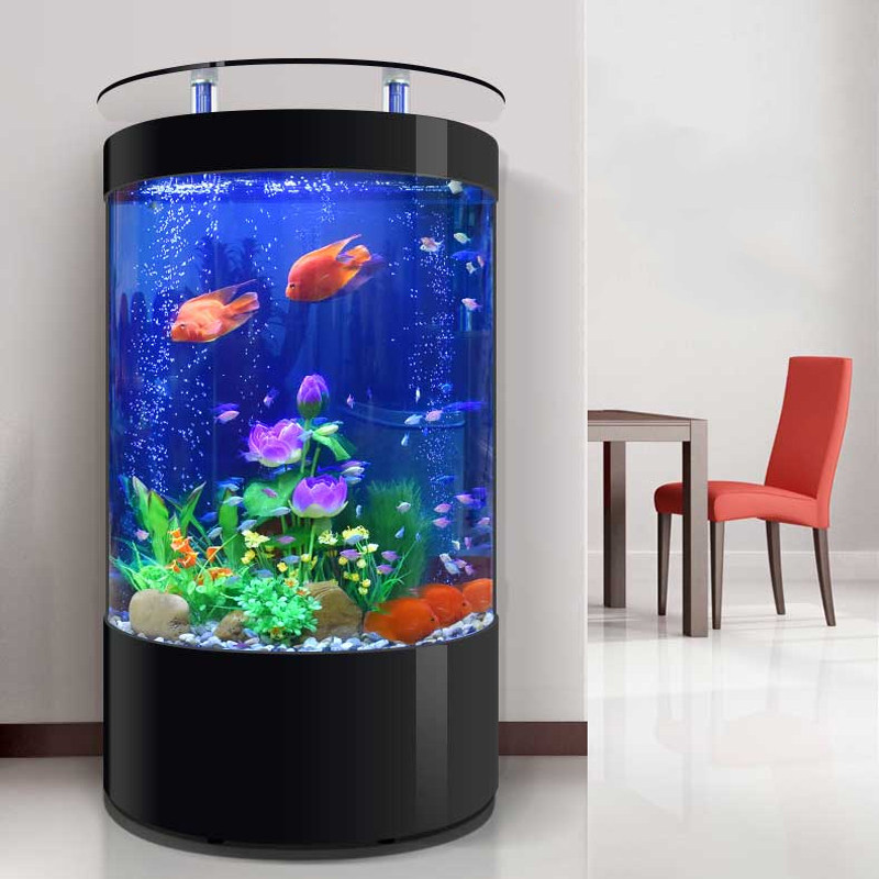 轻奢半圆形简约玻璃鱼缸客厅家用水族箱落地生态立式免换水生态缸