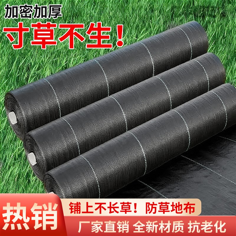 新型防草布除草布打孔切片耐用果园果树遮草盖草地布大棚黑地膜