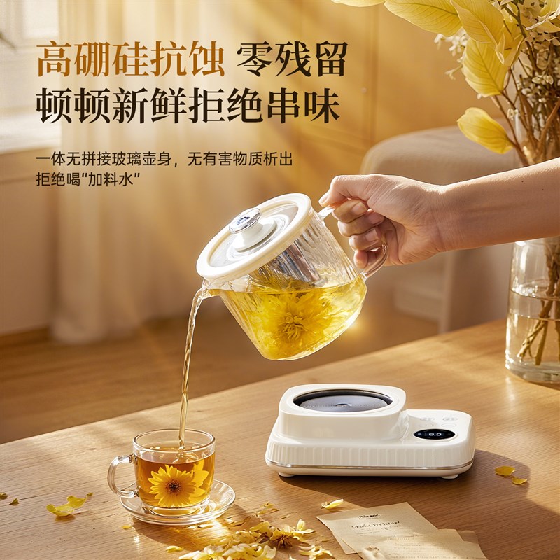 全玻璃养生壶煮茶器小型家用办公室一人迷你养生壶快煮壶烧水壶