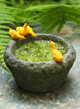 铜钱草碗莲水培植物花盆小鸭子摆件创意仿石臼桌面装饰品摆设礼物