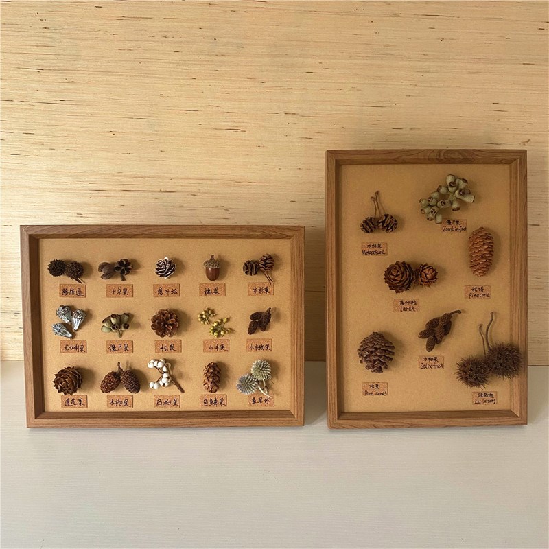 标本类立体装饰画松果植物干花干果森系相框墙ins面桌面手工diy