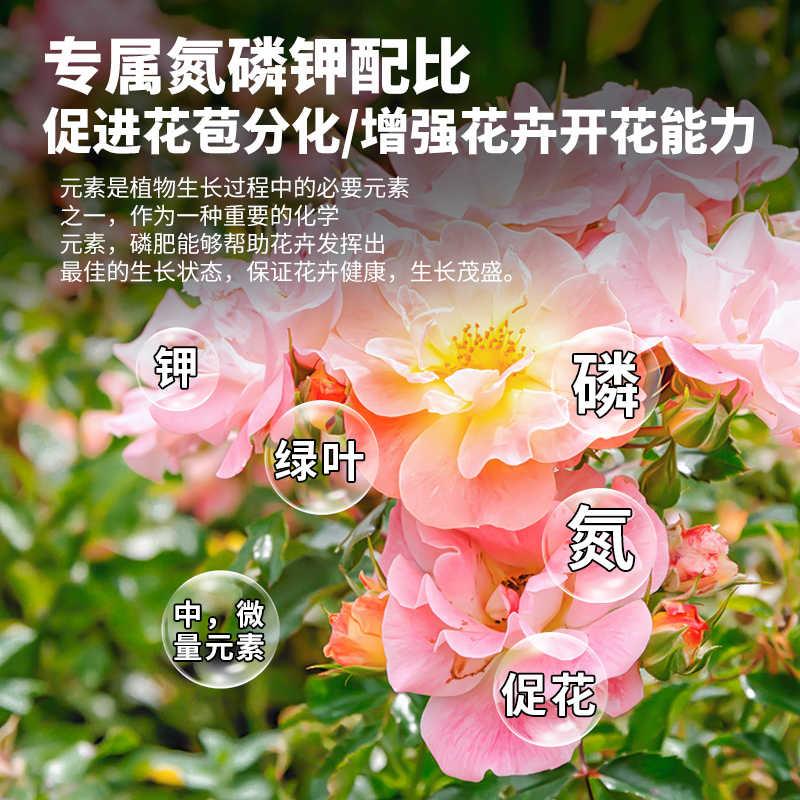 花多多2号1号兰花月季盆栽催花通用进口水溶复合肥官方正品花卉肥