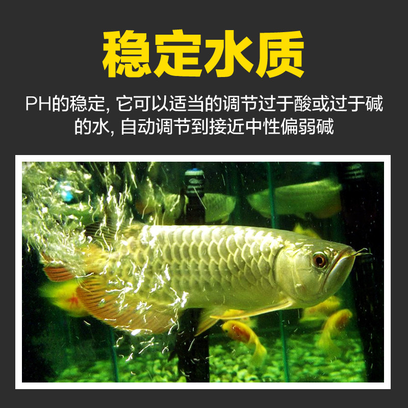 珊瑚骨滤材鱼缸过滤材料大珊瑚石沙鱼池养鱼用品海底砂水族箱造景