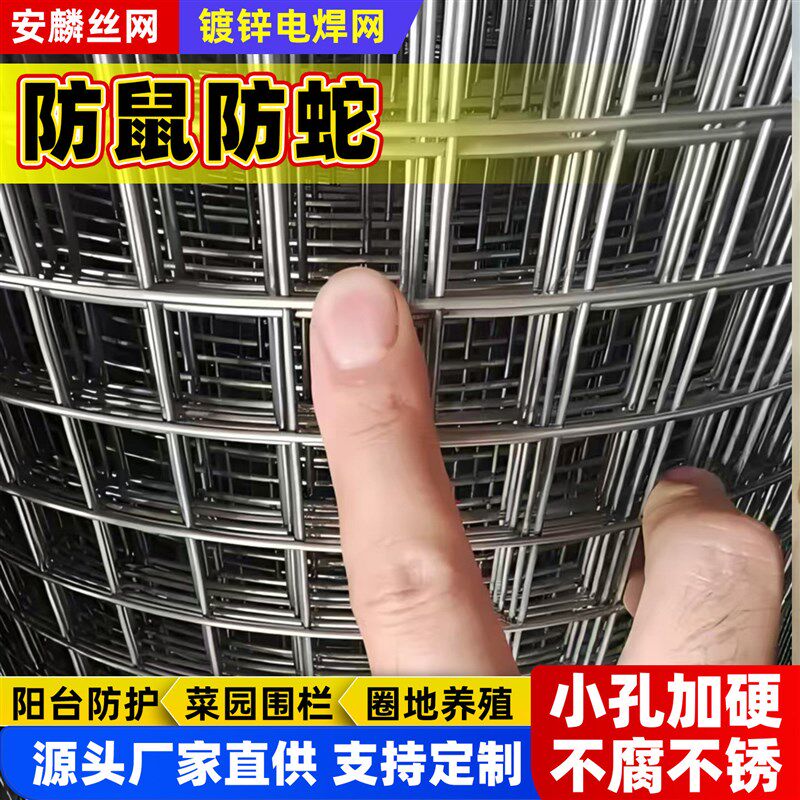 防锈镀锌钢丝网家禽围栏网园林围栏网水泥浇筑网阳台防护网钢丝网