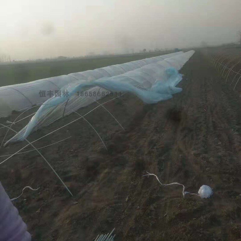 遮阳网防虫玻璃钢保温棚支架小拱棚拱杆拱棚竿蔬菜花棚大棚骨架
