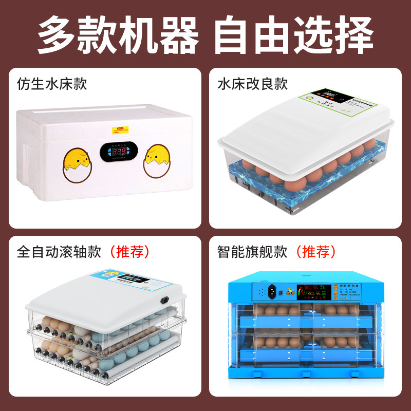 全自动智能孵蛋器 家用迷你鸡蛋孵化器 恒温水床孵蛋机 支持照蛋