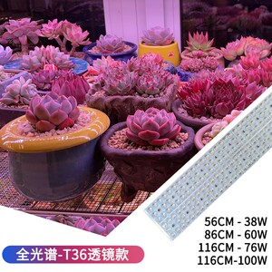 植物之光T36聚光透镜LED全光谱自然光防徒上色室内家用多肉补光灯