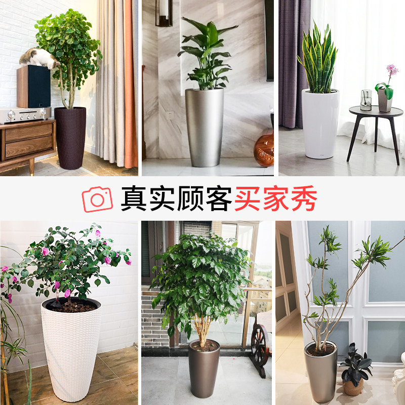 花盆深高盆塑料北欧简约轻奢客厅落地高款自动吸水大号花盆特大号