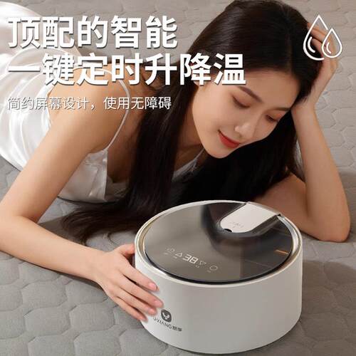 2025新款水暖电热毯智能水循环水暖毯静音家用双人