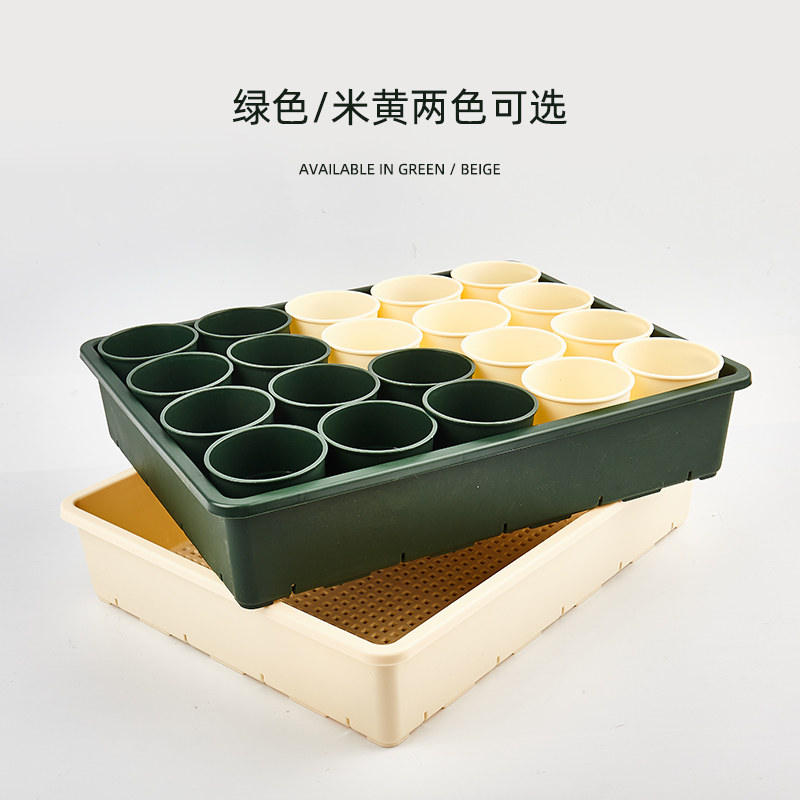 柏实多肉7cm方盆育苗筐托盘组合套装加厚耐用整理架整齐美观简约