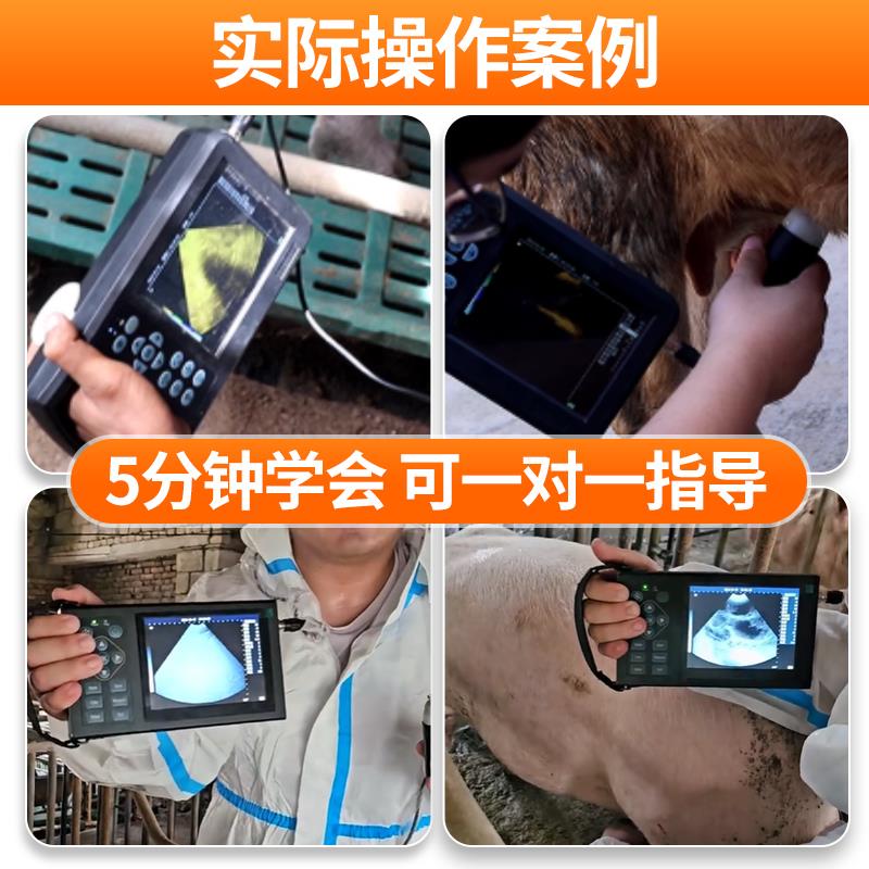 兽用高清彩色B超机便携式畜牧猪牛羊养殖犬猫超声波测孕仪大屏幕