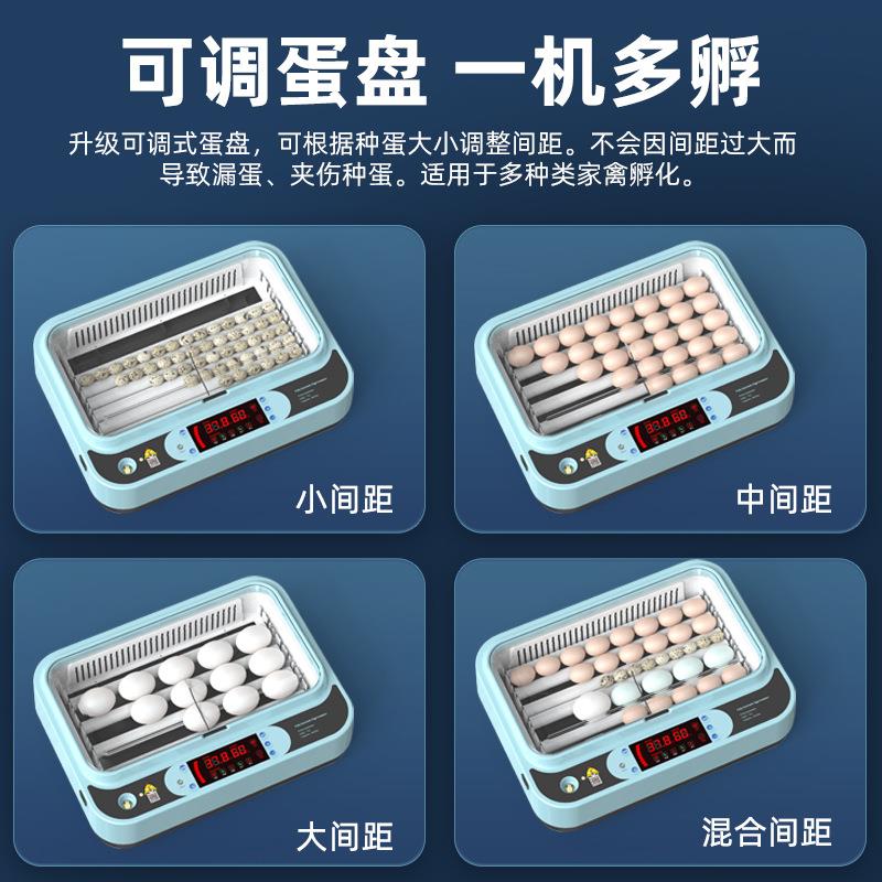 孵化机智能孵化箱小型家用孵化器小鸡鸭鹅孵化箱鸽子芦丁鸡孵蛋器