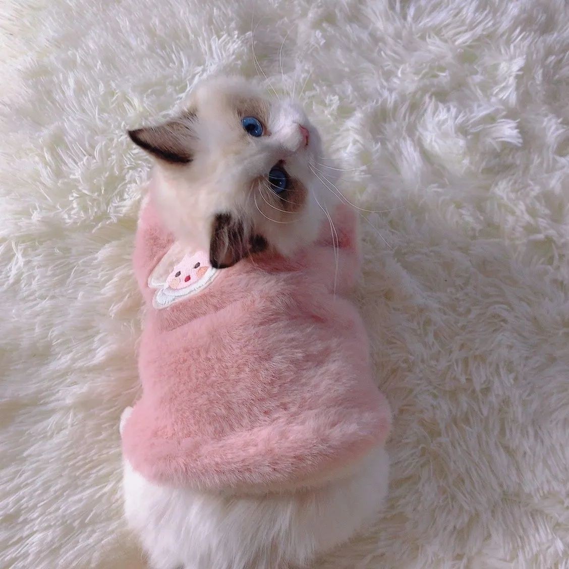 可爱秋冬季猫咪衣服狗狗冬保暖加厚背心防掉毛布偶宠物衣服小型犬