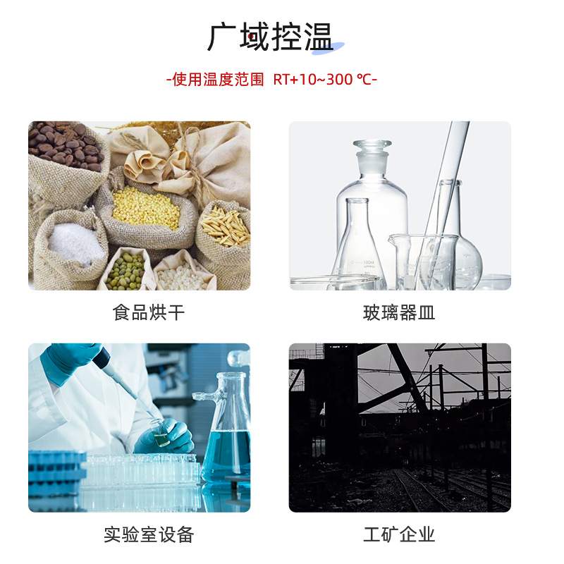 泰斯特电热鼓风干燥箱WGL-30D恒温箱WGL-125L实验室烘箱 WGL-85T