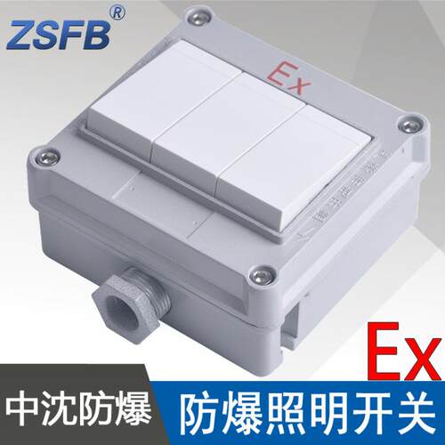 SWB-10A/IIIS防爆照明开关三开单控双控防爆墙壁开关ExdeIIBT6