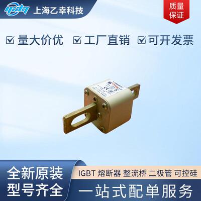 巴斯曼熔断器 170M4610 170M4611 170M4612 170M4613 170M4614