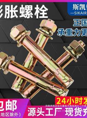 正国标膨胀螺丝10mm镀锌膨胀螺栓拉爆螺丝膨胀8mm带孔胀栓