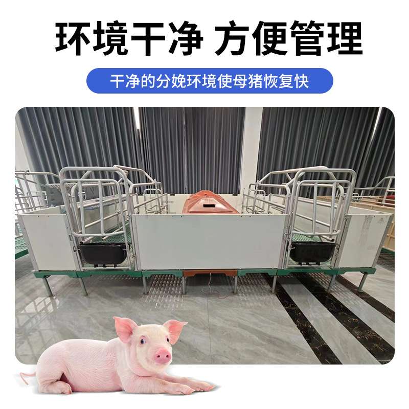 热浸锌欧式母猪产床 母猪分娩床产保一体产床母猪产仔栏 现货供应