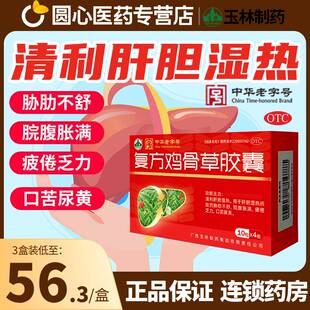 广西玉林复方鸡骨草胶囊 0.5g*40粒肝胆湿热药房正品旗舰店非丸80