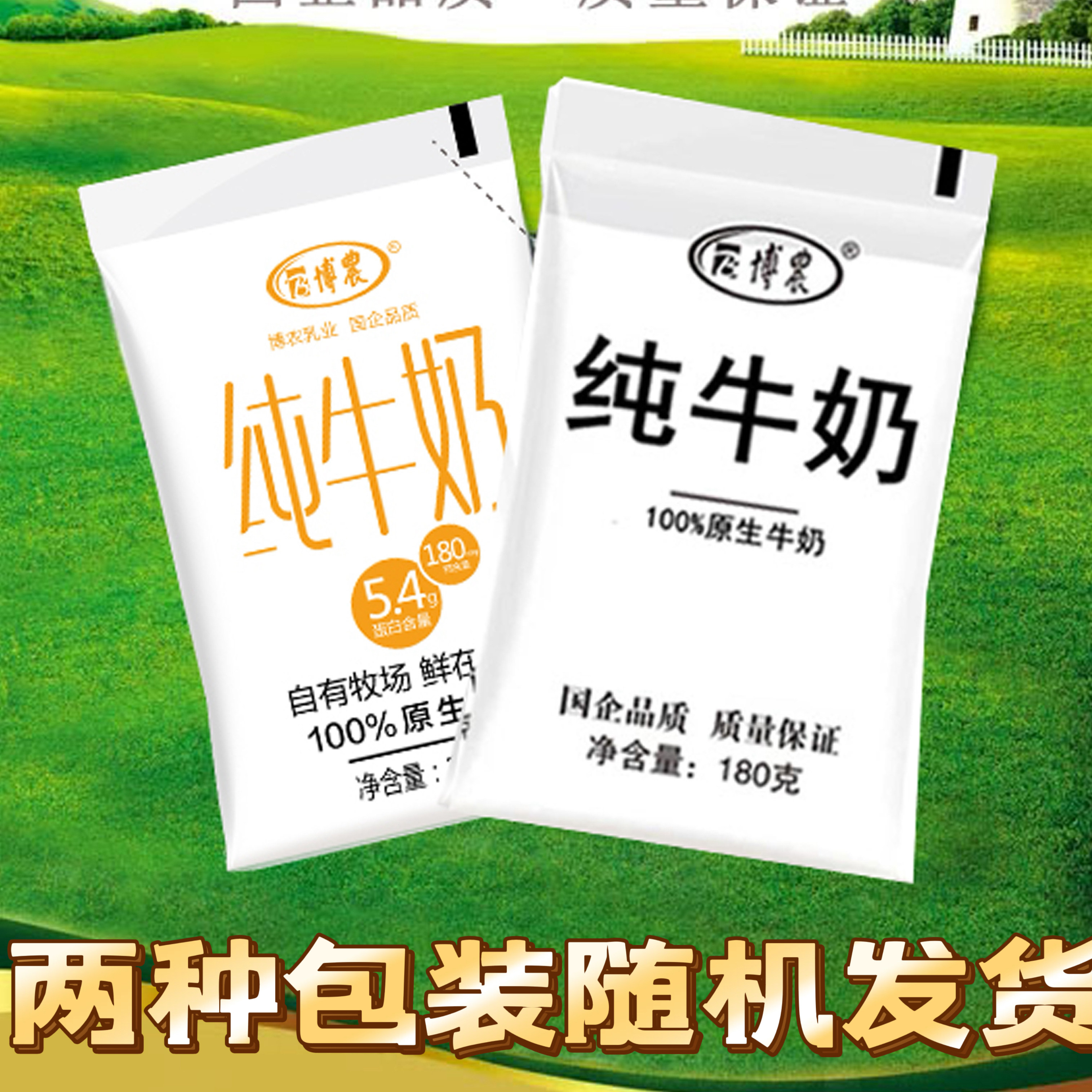 博农纯牛奶原生优质营养生牛乳纯牛奶180克两种包装随机发货 - 实物图