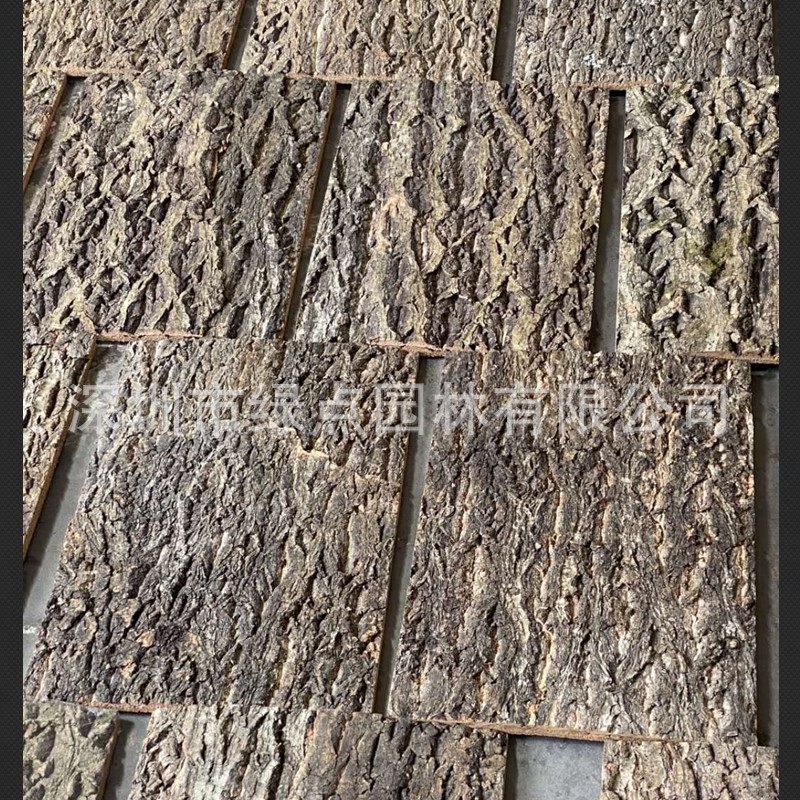 香槟树皮软木树皮鱼缸造景树皮爬虫背景板生态种植树皮装饰橡树皮,鲜花速递/花卉仿真/绿植园艺,仿真绿植,淘宝优惠券,粉丝福利购,淘宝优惠卷