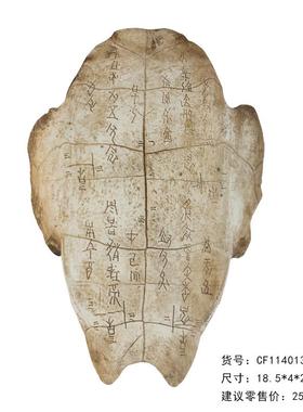 树脂仿真化石甲骨文龟壳摆件 咖啡厅酒吧壁挂墙面软装饰教学道具