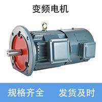 鐵殼變頻調(diào)速電機(jī)三相異步電機(jī)//.變頻調(diào)速電機(jī)