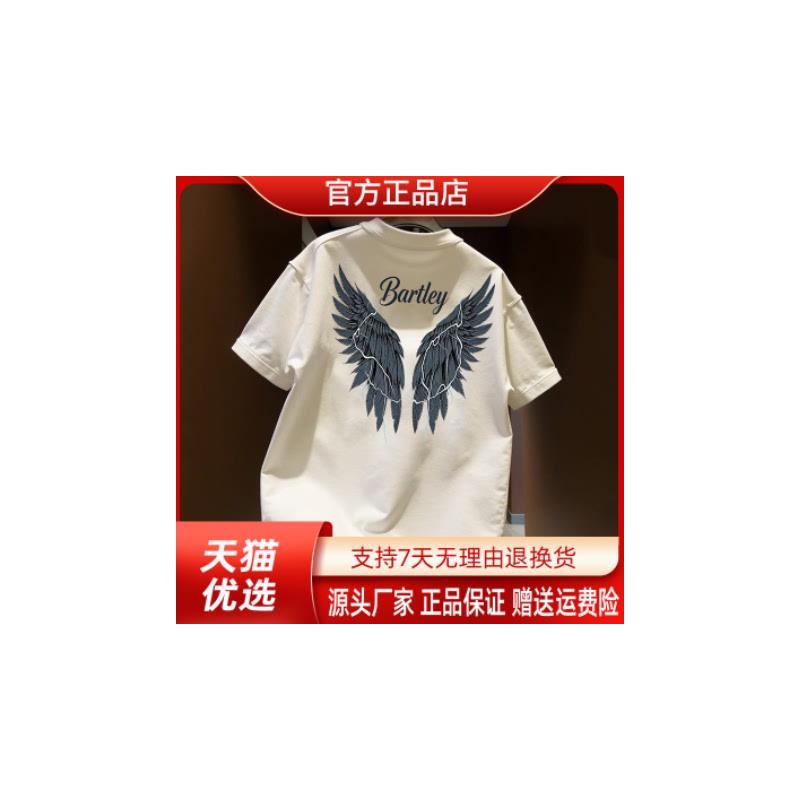 枫善服饰夏季潮牌印花短袖T恤男士宽松冰丝凉感速干潮流居家服男