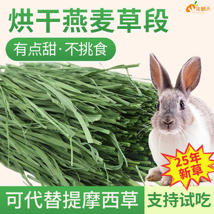 25年新燕麦草烘干提摩西草兔子饲料龙猫荷兰猪牧草北提草段兔干草