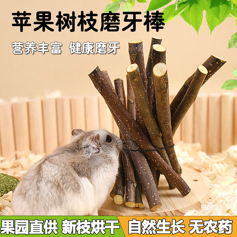 宠翻天苹果枝磨牙棒兔子零食