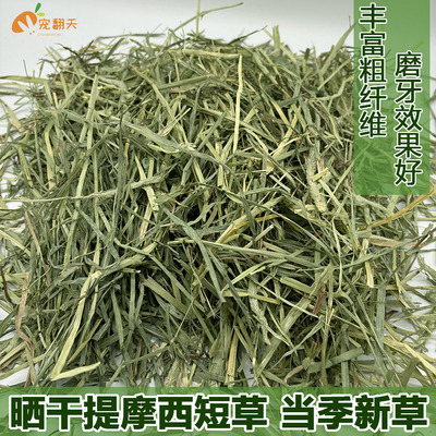 25年新晒干提摩西草短草兔子草段