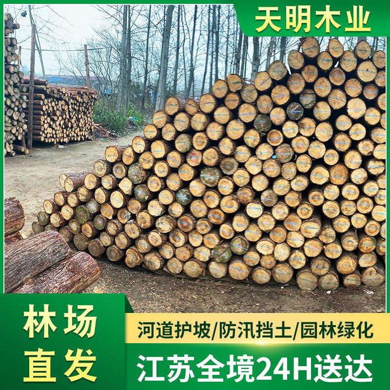 杉木桩落叶松木桩米园林绿化河道防汛打桩木松树圆木坡护堤