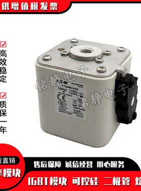 170M6568 170M6569 170M6570 170M6571巴斯曼熔断器