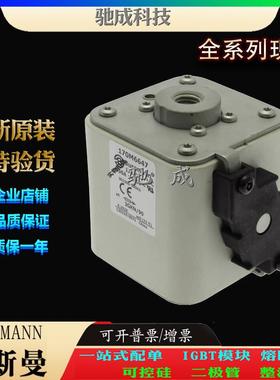 巴斯曼170M6650 170M6651 170M6652 经销出厂价格 快速熔断器