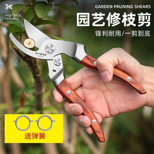 进口全钢红木柄家用修枝剪园艺省力花艺园林果树修剪树枝修花剪刀