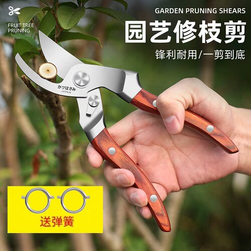 进口全钢红木柄家用修枝剪园艺省力花艺园林果树修剪树枝修花剪刀