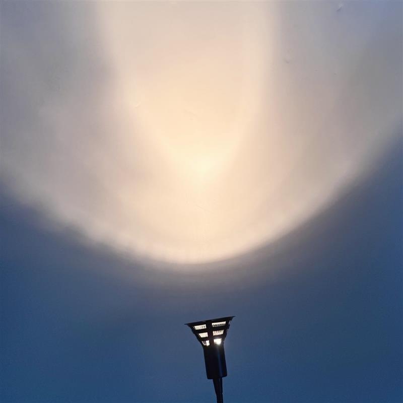12V50W卤素灯模拟太阳光实验室照明灯具可调亮度万向软管式夹子灯