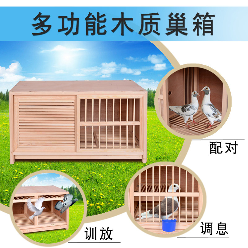 实木赛鸽配对巢箱信鸽配对笼推拉门设计鸽笼养殖鸽具